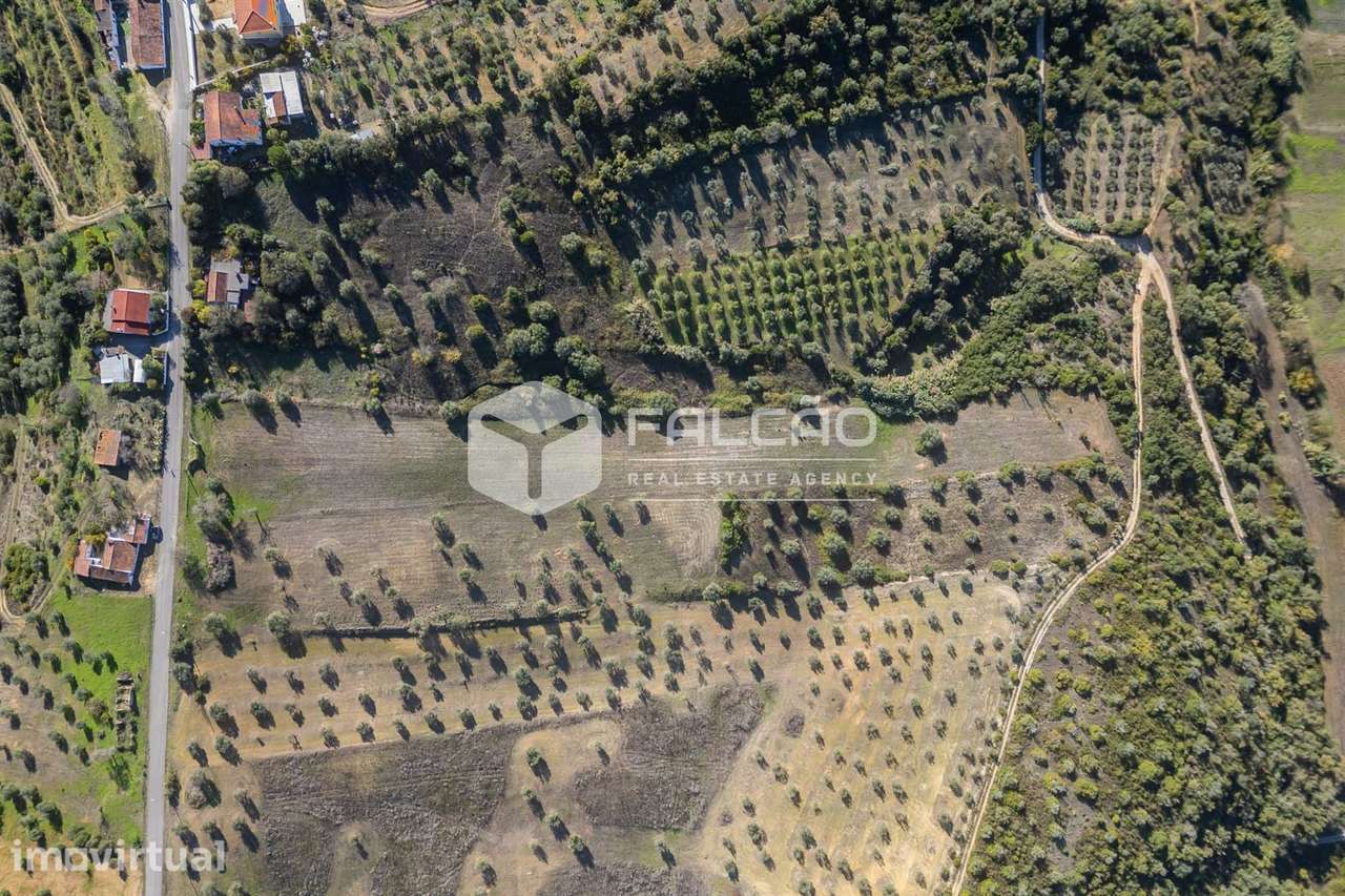 Terreno Para Construção  Venda em Moçarria,Santarém - Grande imagem: 2/34