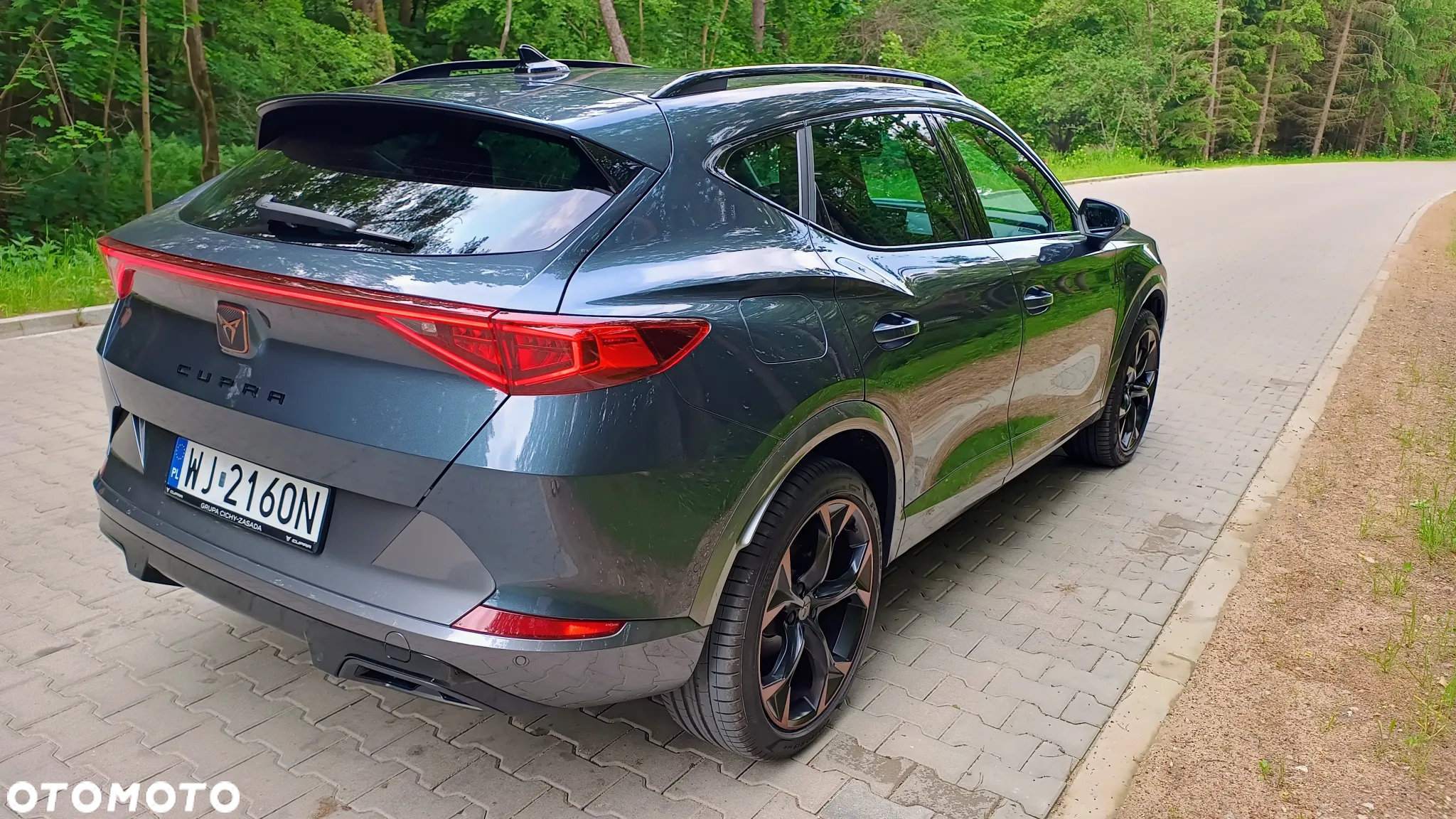 Cupra Formentor 2.0 TDI 4Drive DSG - 6
