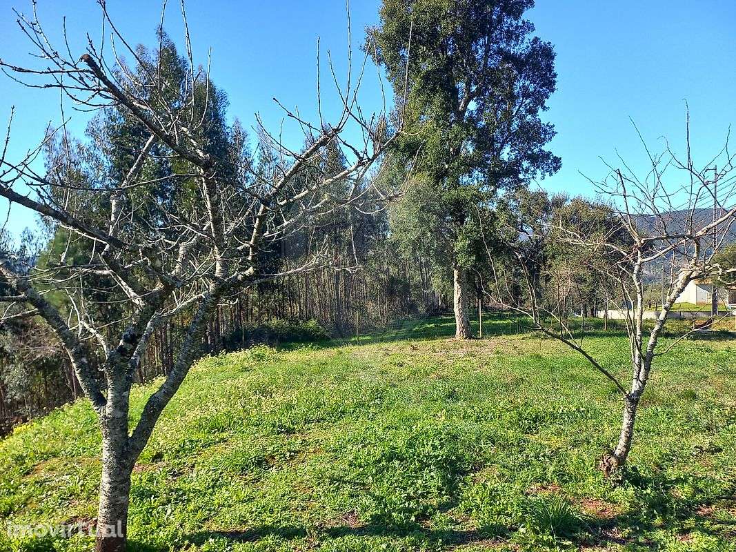 Terreno  para venda - Grande imagem: 5/8