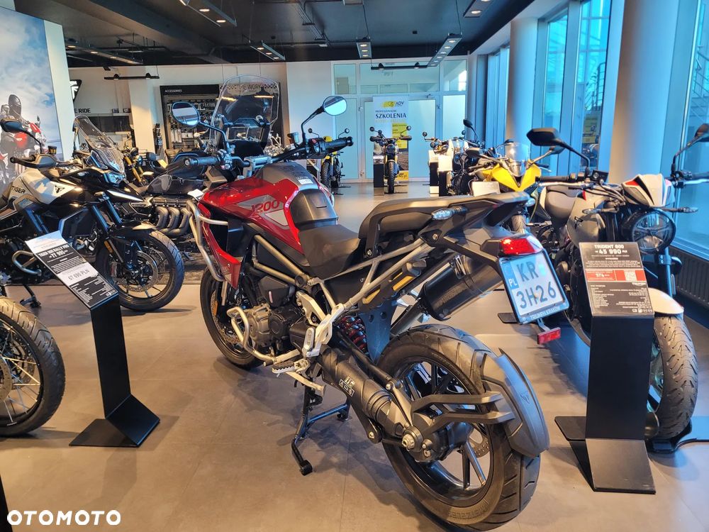 Triumph Tiger - 6