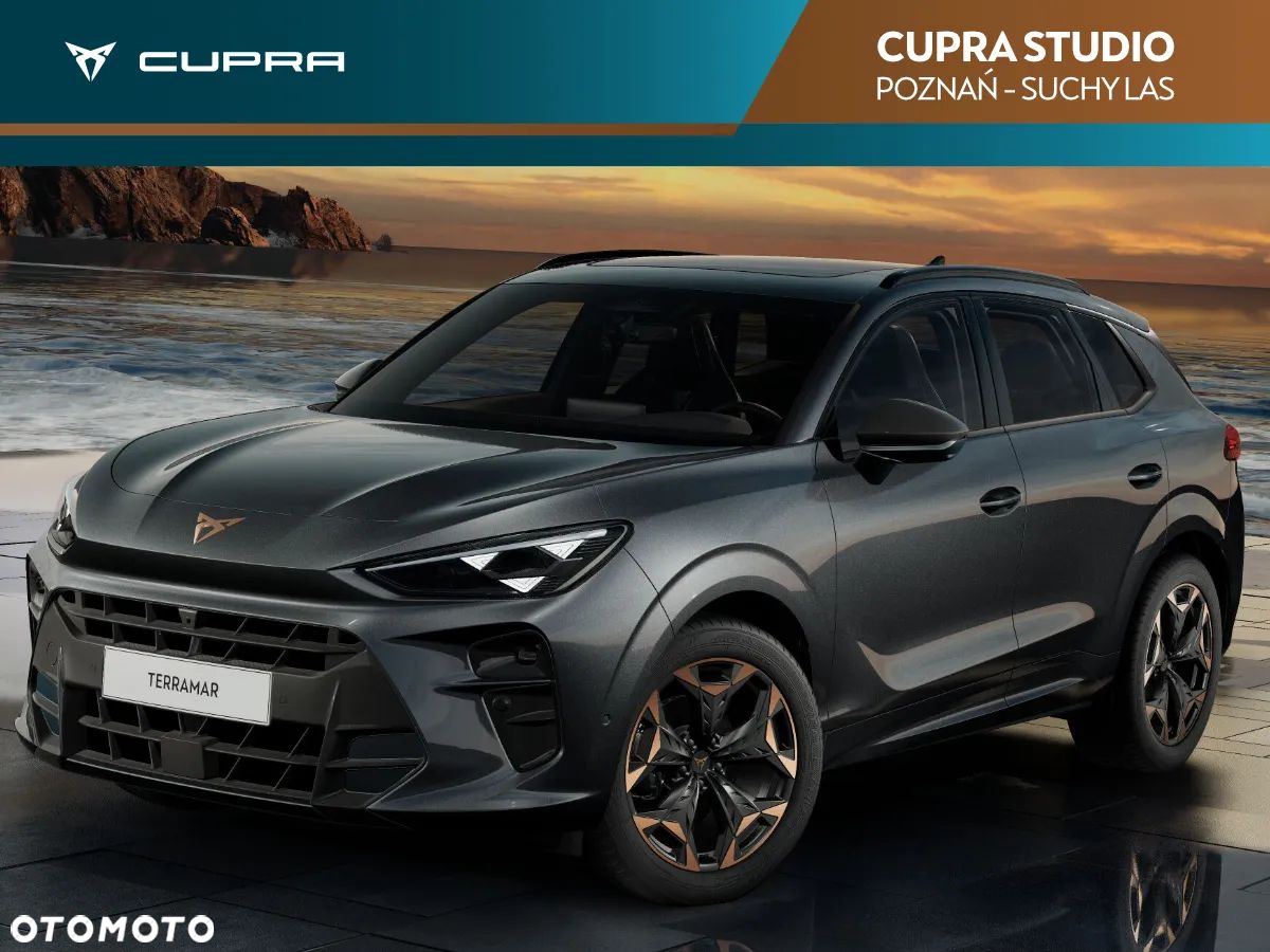 Cupra Terramar - 1