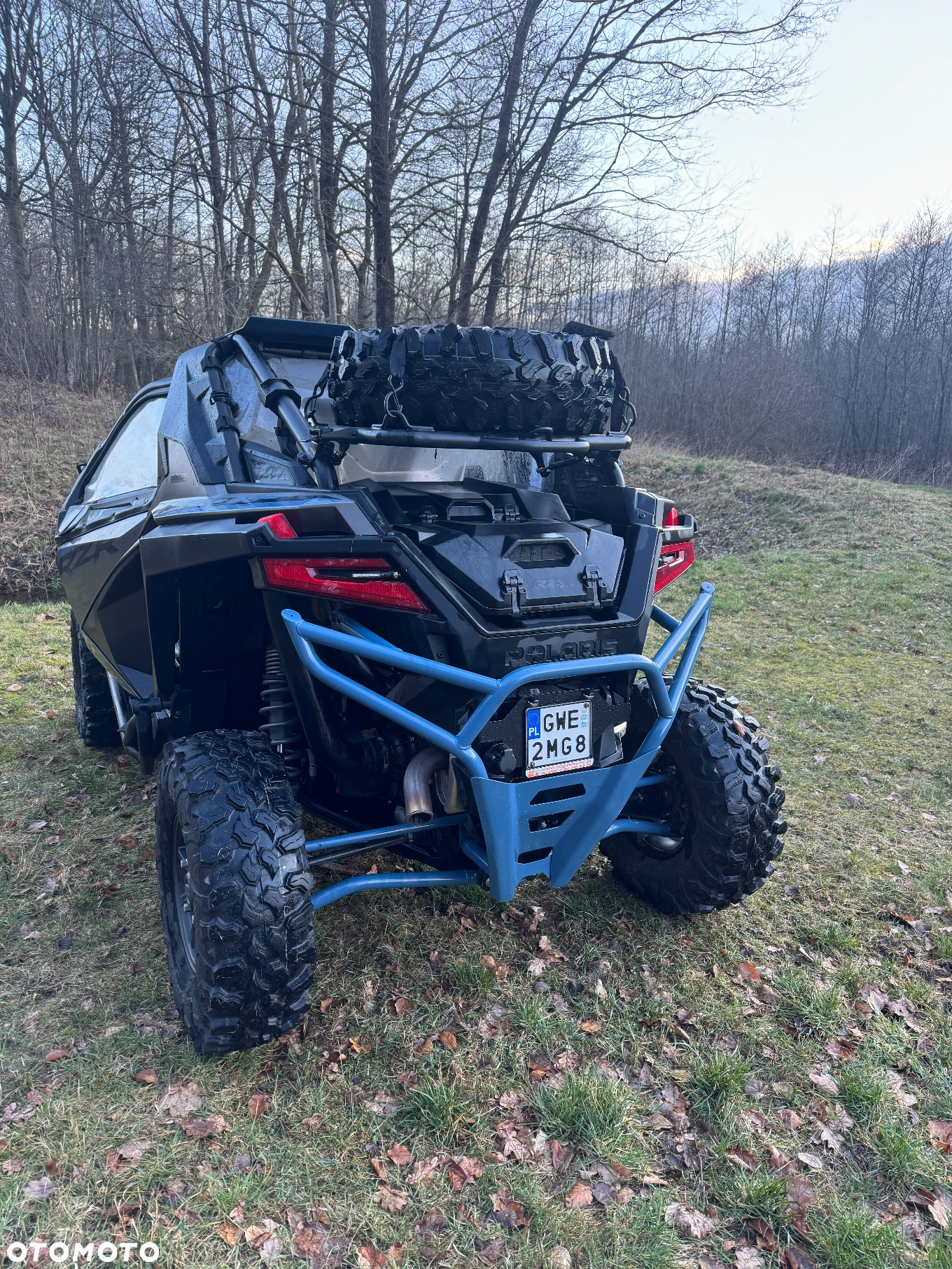 Polaris RZR