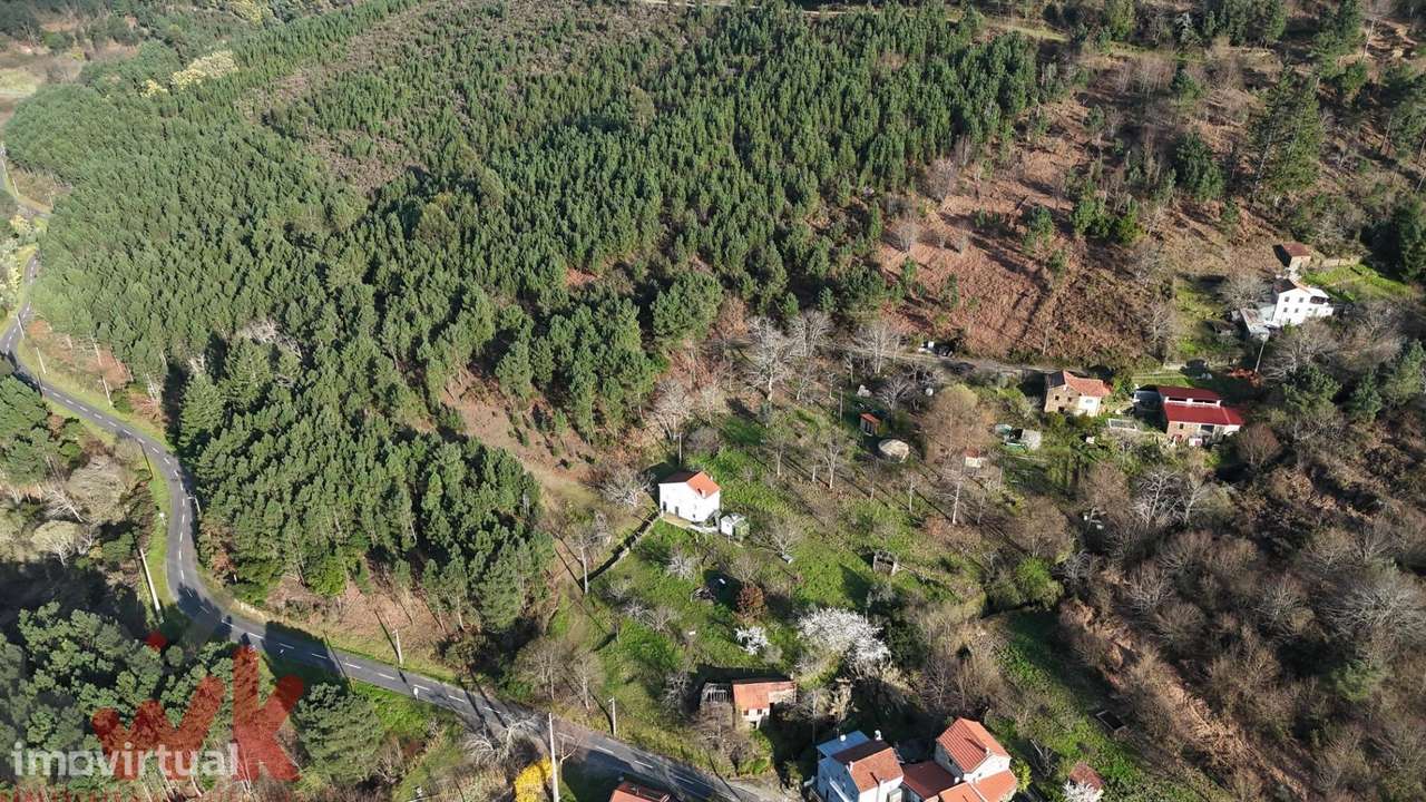 QUINTA 9.630m2, casa 54m2, anexo 104m2, com ribeiro - Grande imagem: 5/47