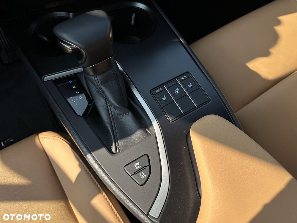 Lexus UX 250h GPF F Sport Design 2WD - 19