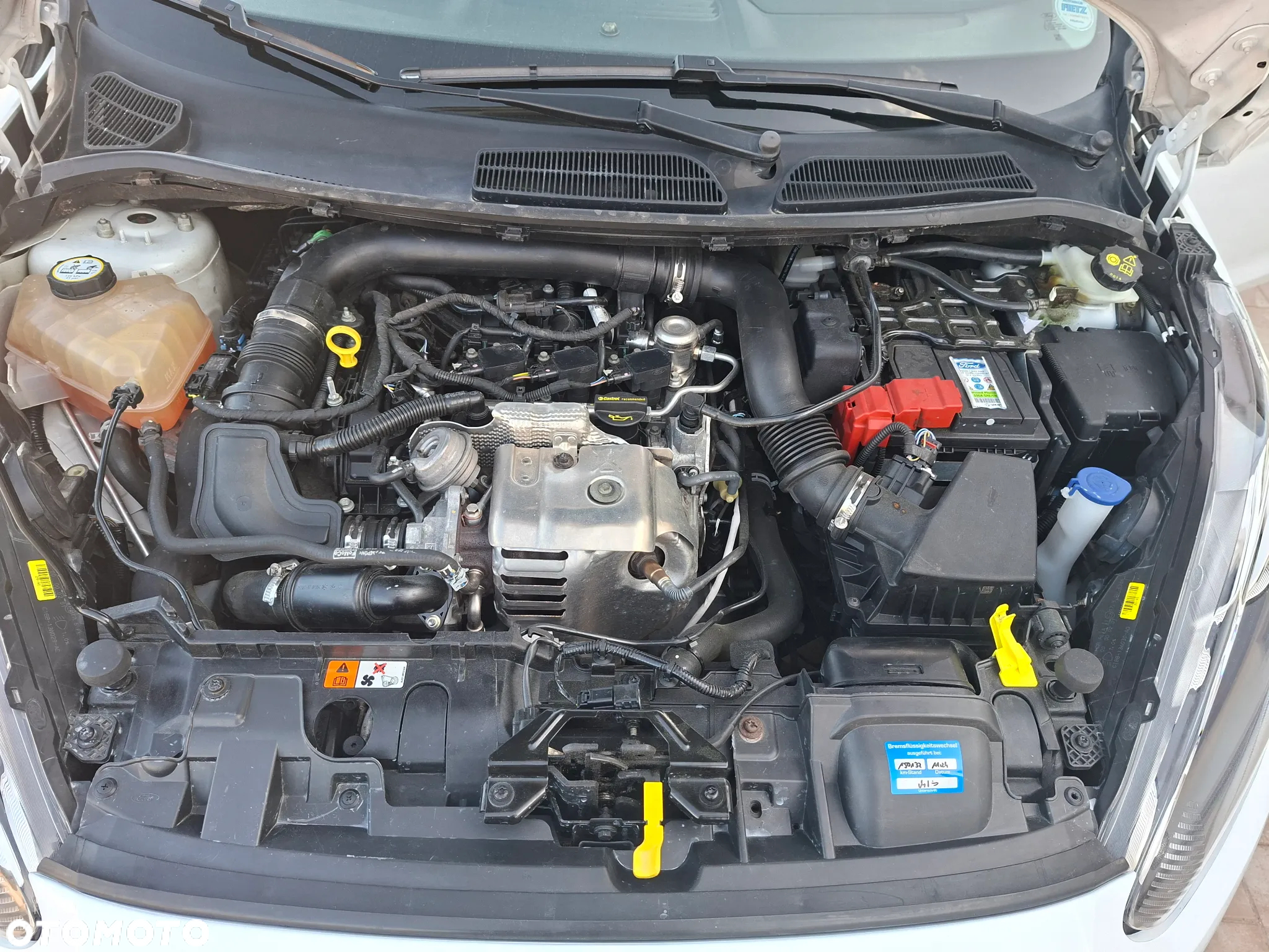 Ford Fiesta 1.0 EcoBoost Champions Edition - 21