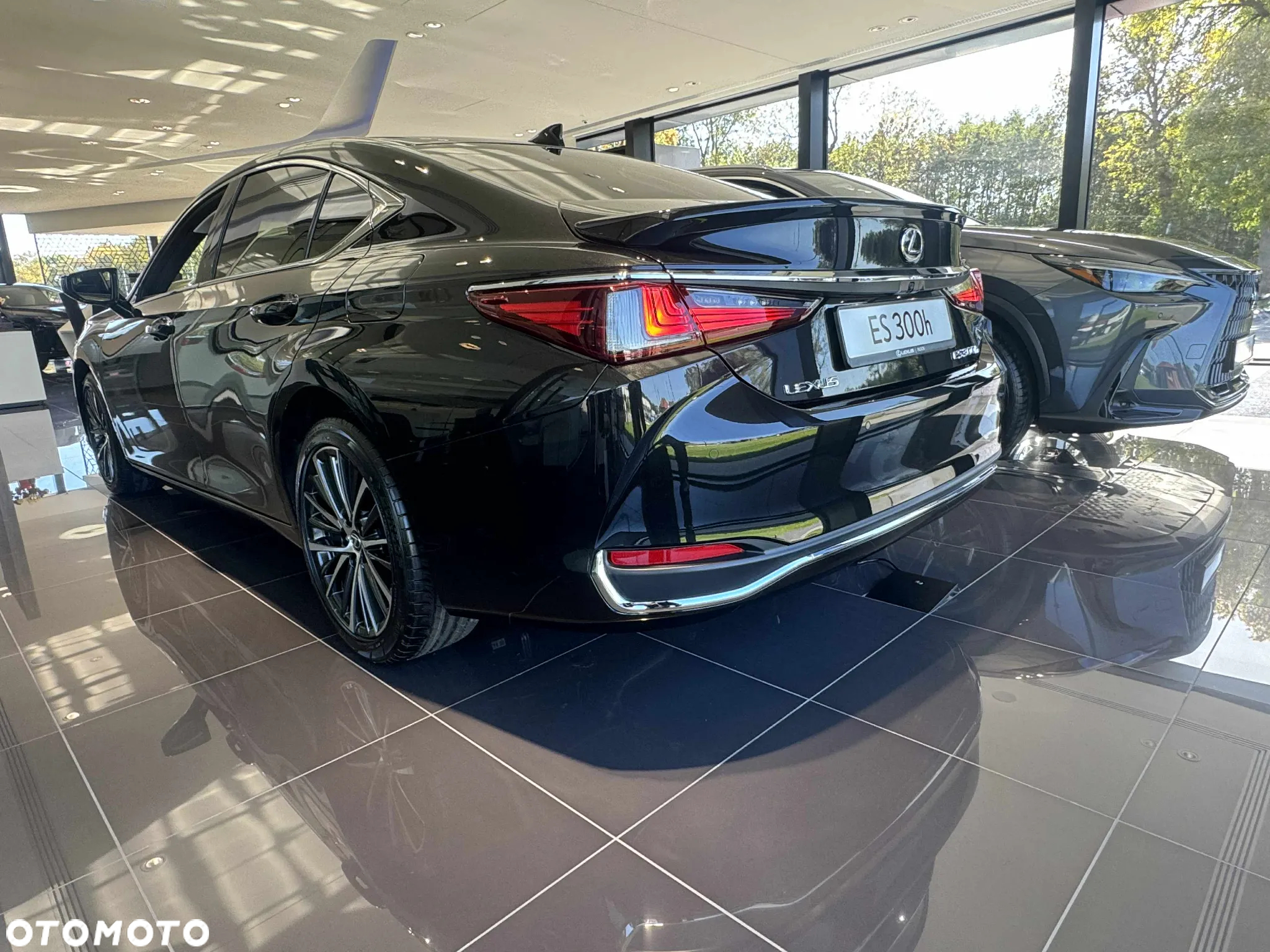 Lexus ES 300h Business Edition - 5