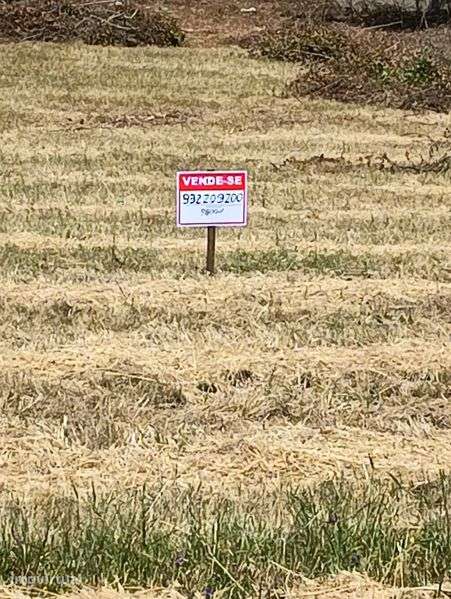 Terreno 9800m², Olaia e Paço - Grande imagem: 5/5