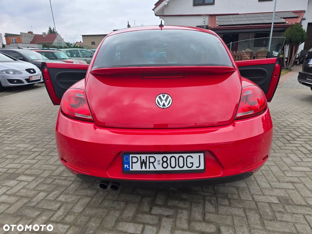 Volkswagen Beetle - 21