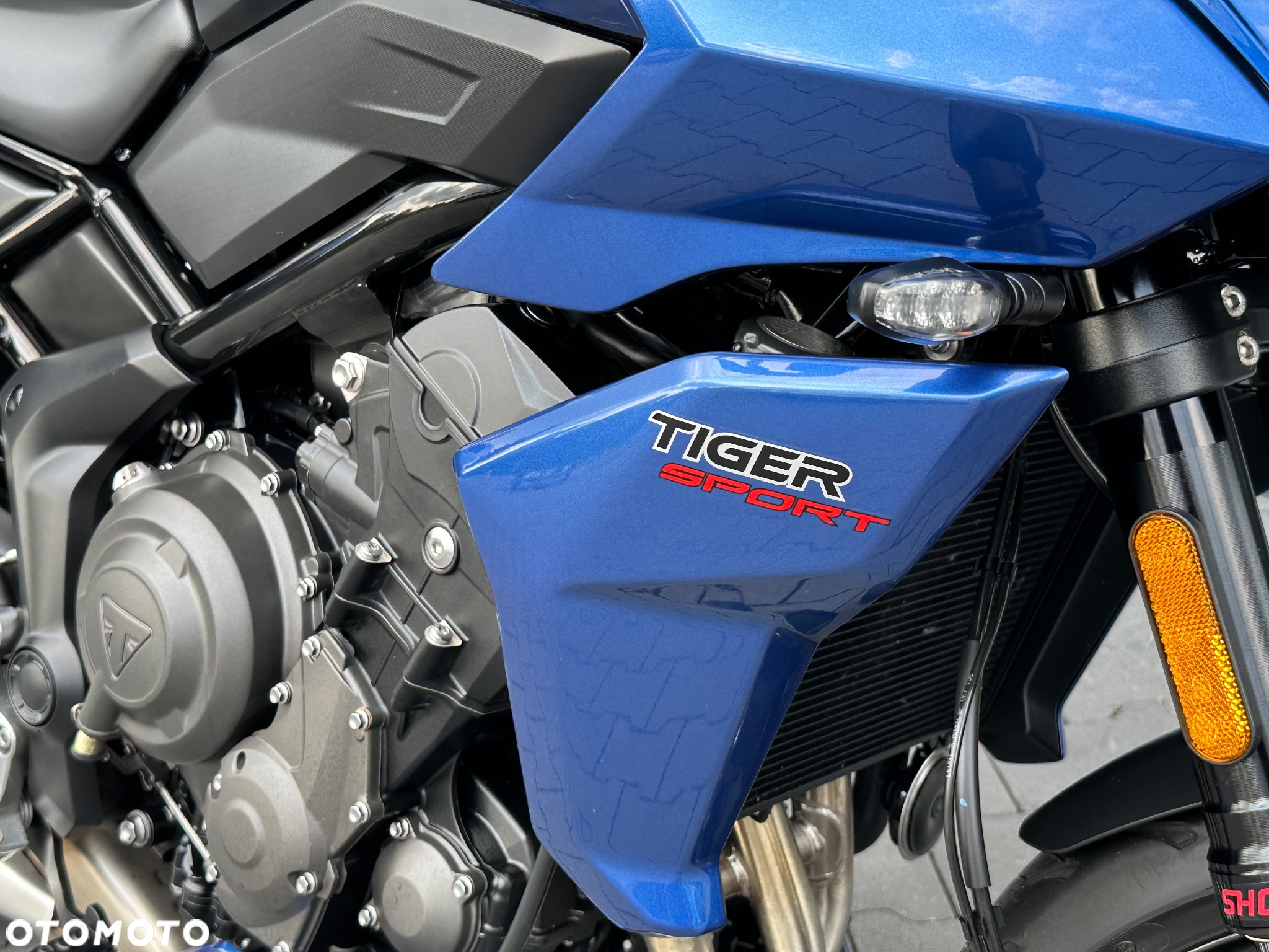 Triumph Tiger - 17