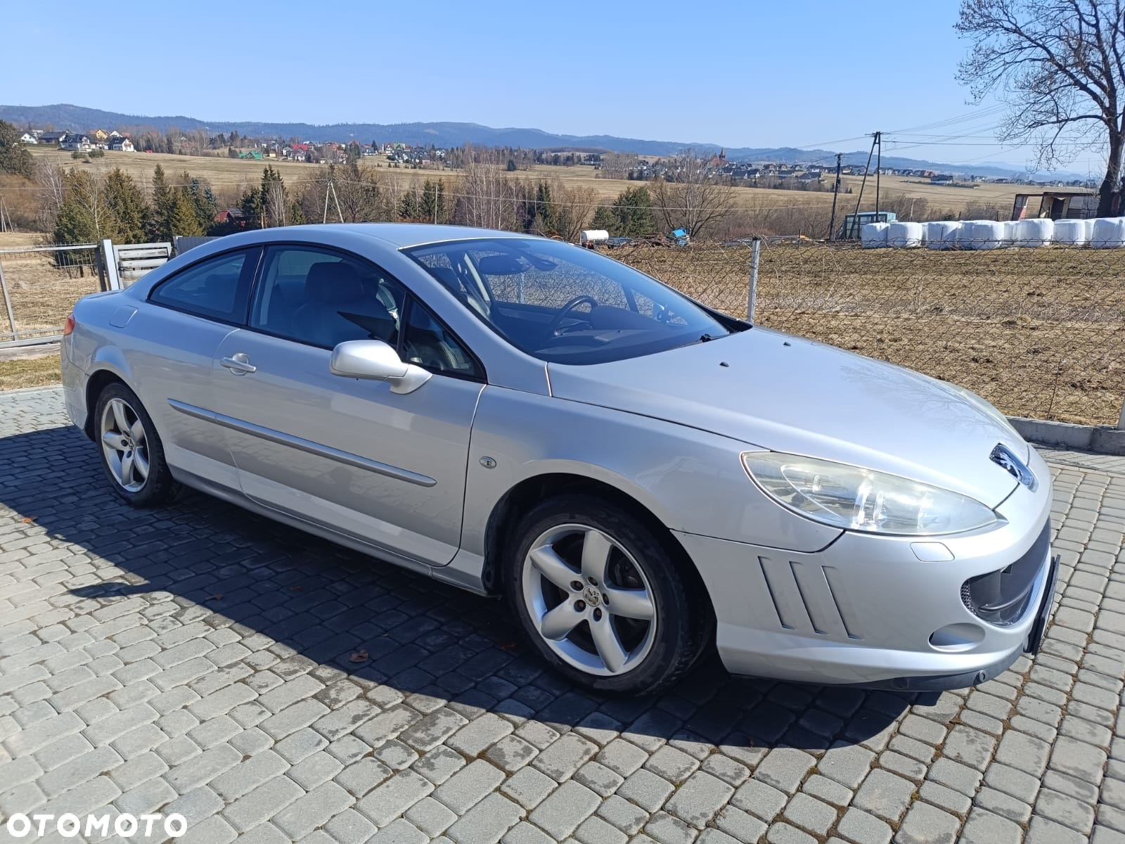 Peugeot 407 2.7HDi V6 Sport - 9