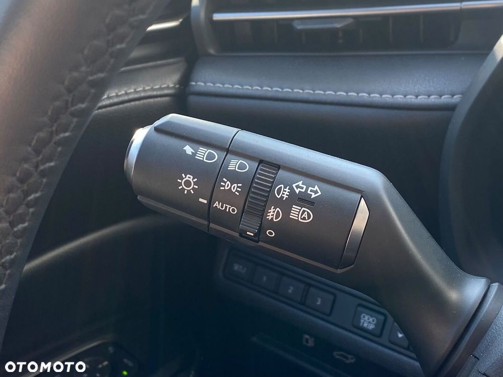 Lexus LBX 1.5 Hybrid Relax - 28