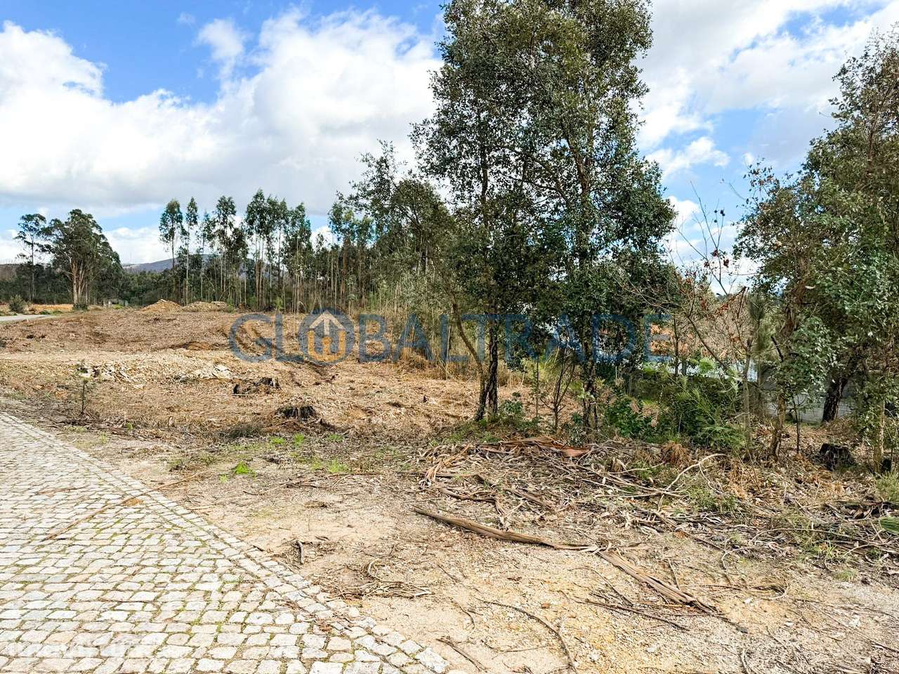 Terreno Urbano 5 3660m² em Melres - Grande imagem: 2/6