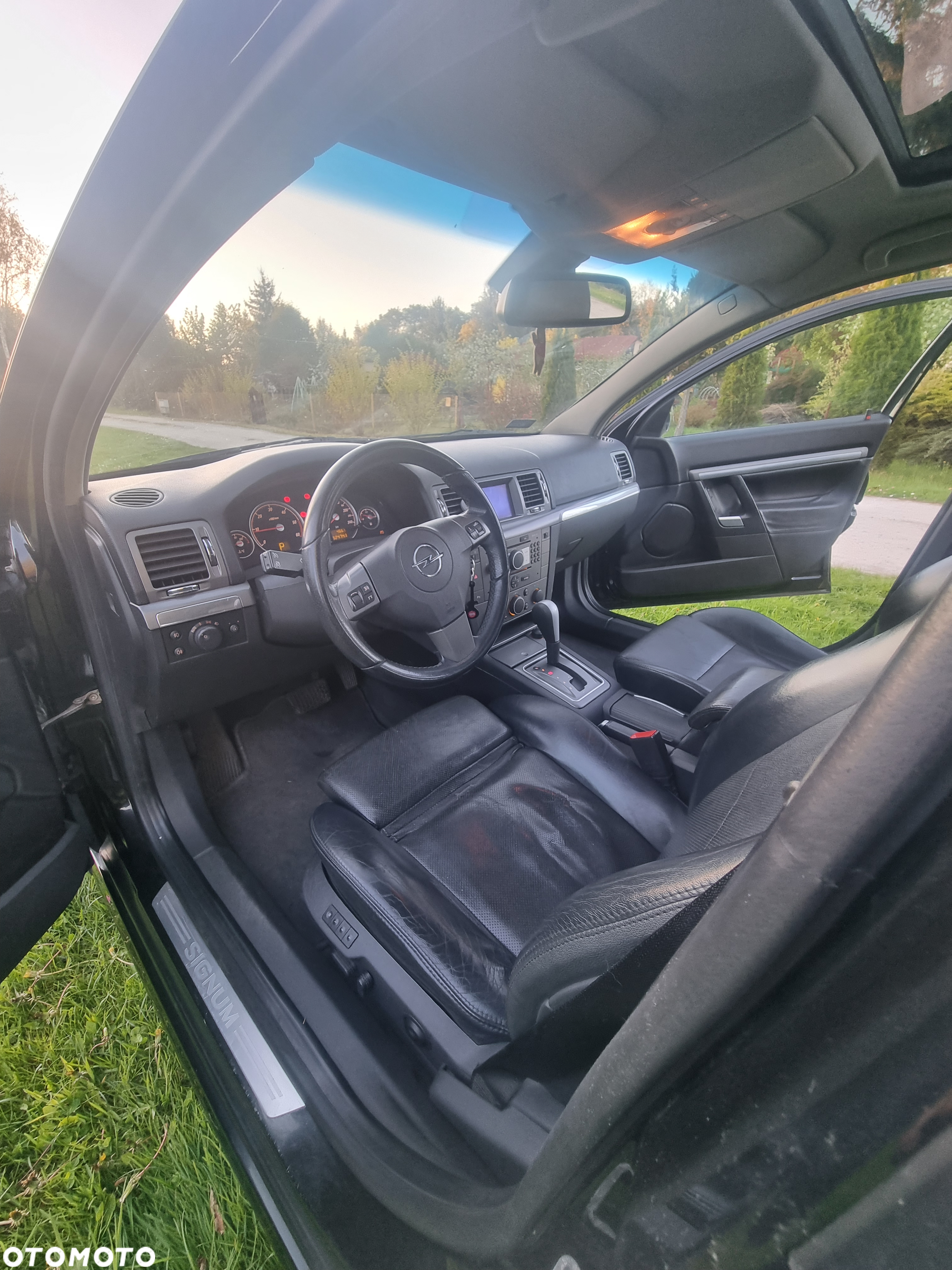 Opel Signum - 10