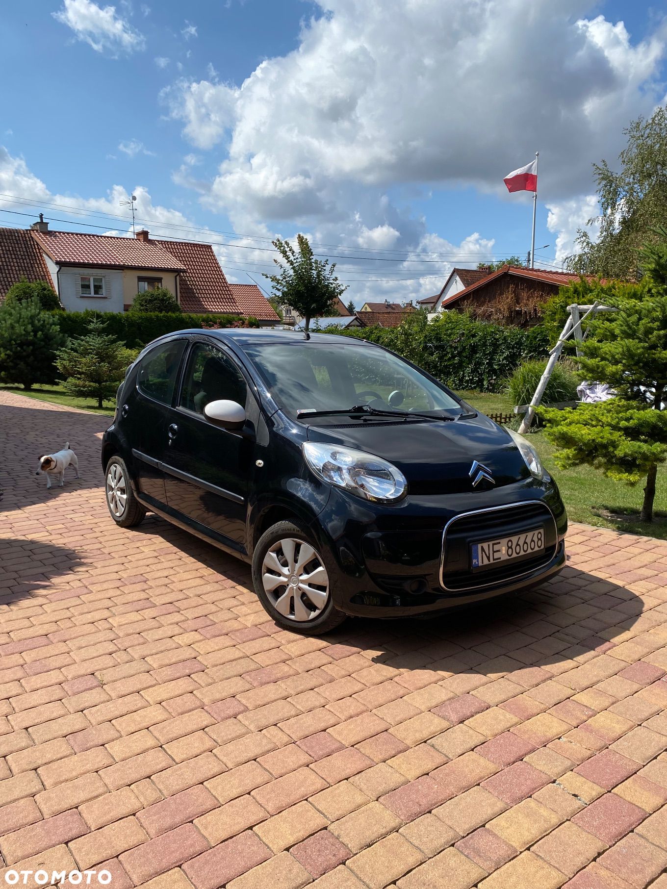 Citroën C1 1.0i White - 1