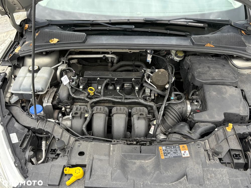 Ford Focus - 14