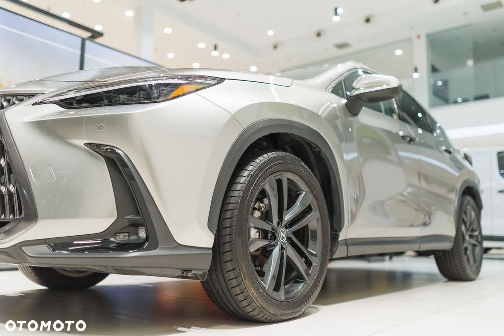 Lexus NX - 13