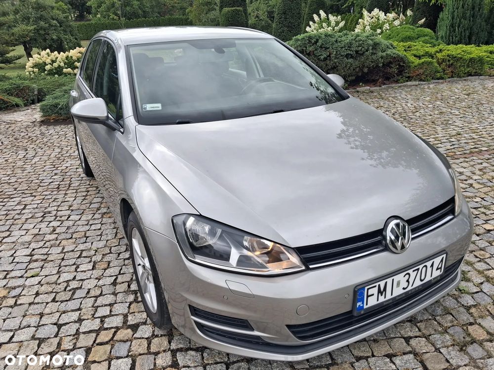 Volkswagen Golf - 25