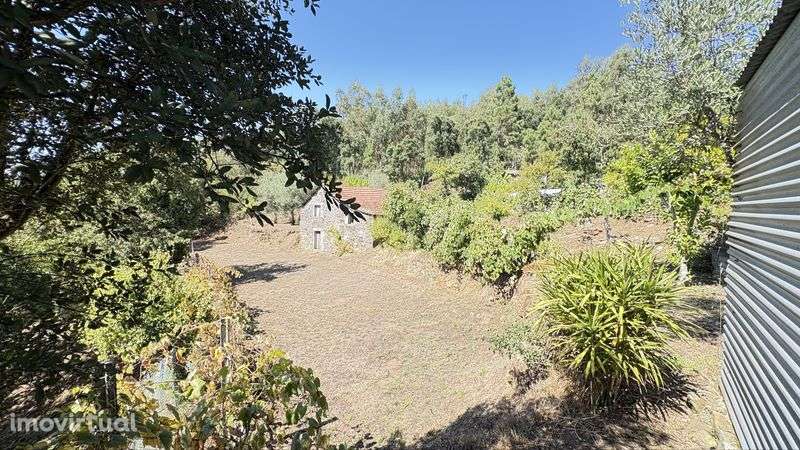 Vendo Casa Rustica com terreno - Grande imagem: 2/7