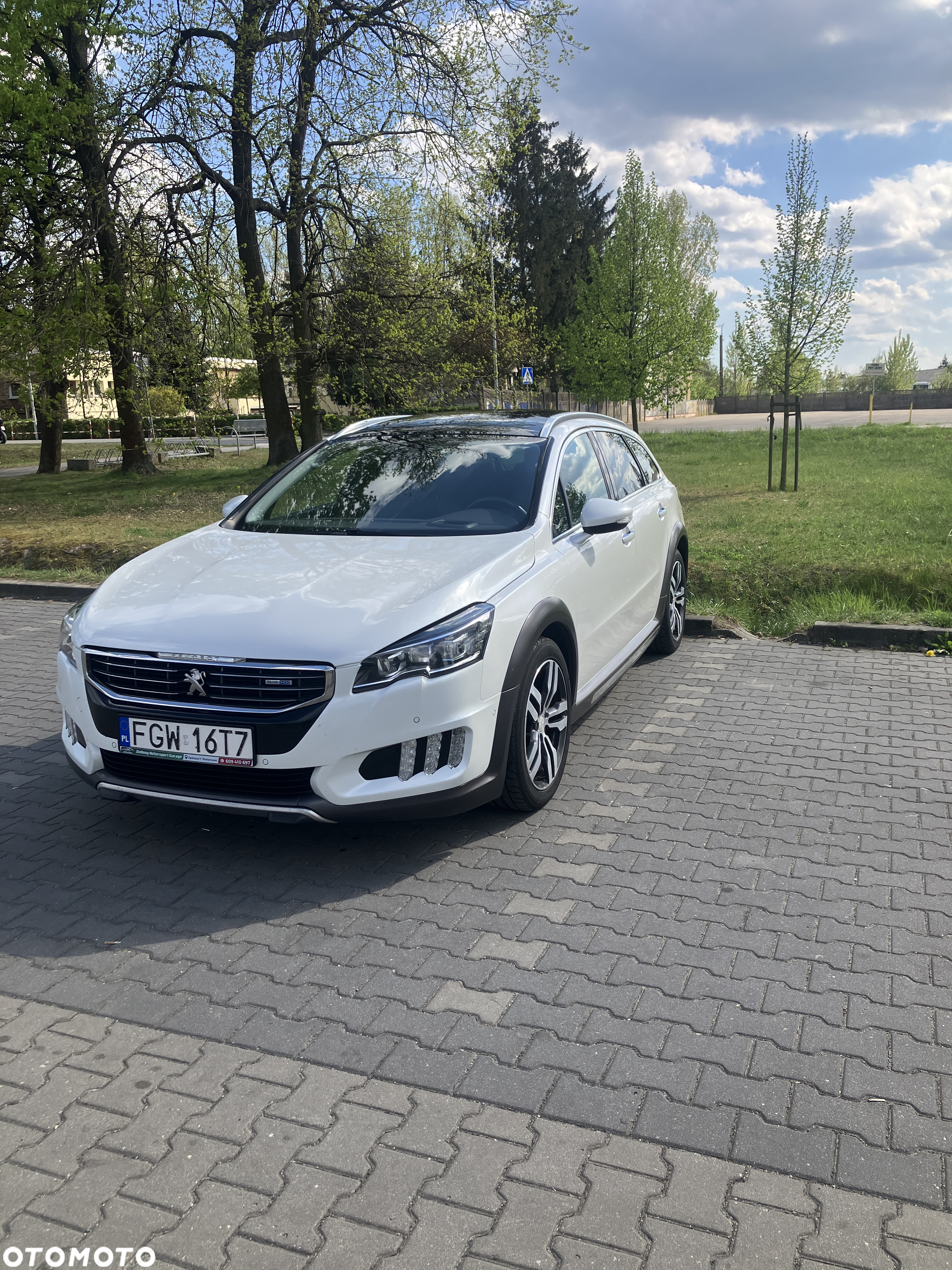 Peugeot 508 2.0 BlueHDi RXH S&S - 2