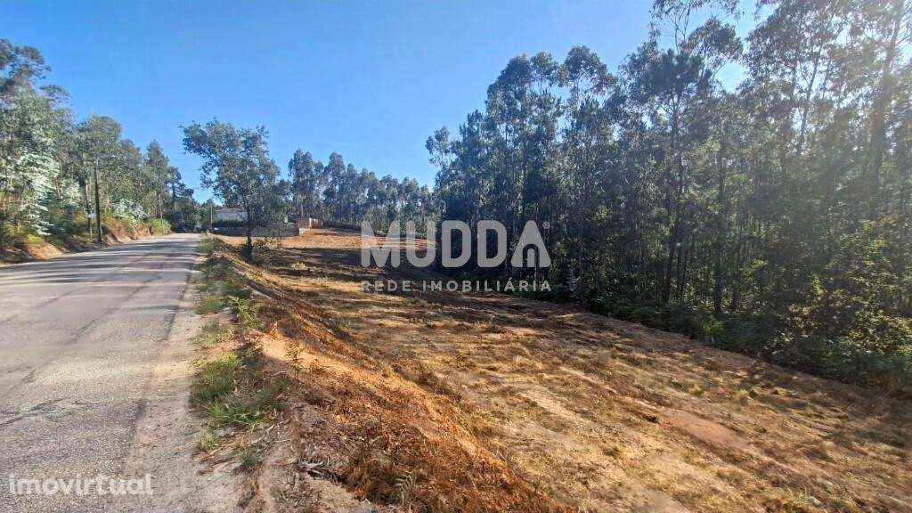 Terreno Rústico com Viabilidade de Construção em São Martinho da Ganda - Grande imagem: 5/11