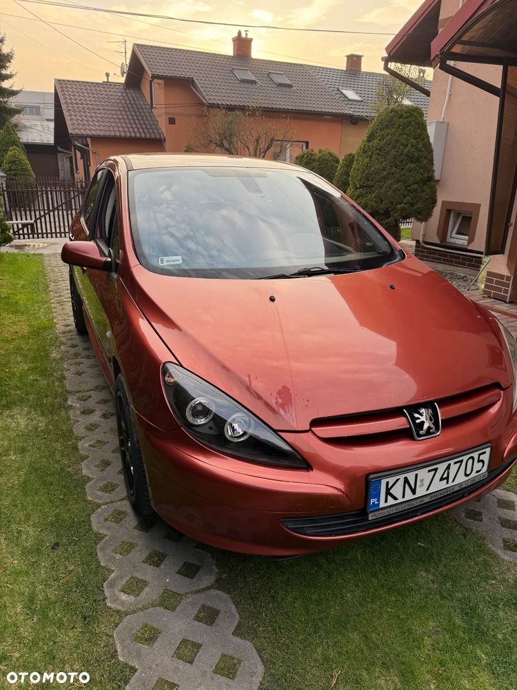 Peugeot 307 - 5