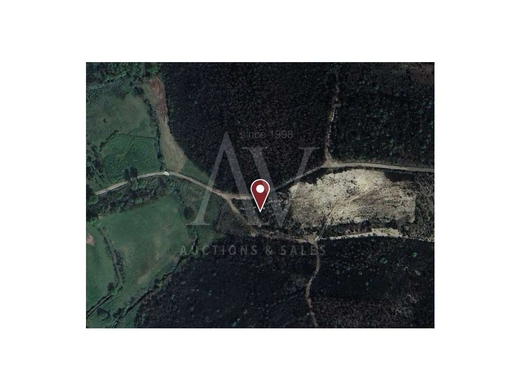 Terreno Rústico - CAMPIA - VOUZELA | LEILÃO ELETRÓNICO | FIM 16*JAN - Grande imagem: 3/5