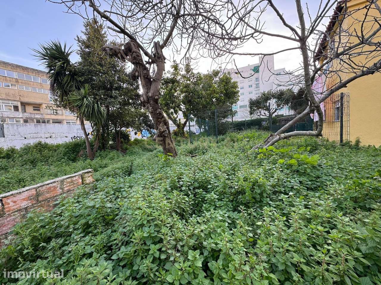 Moradia para Reabilitação junto à Avenida de Roma – Oportunidade para - Grande imagem: 4/12