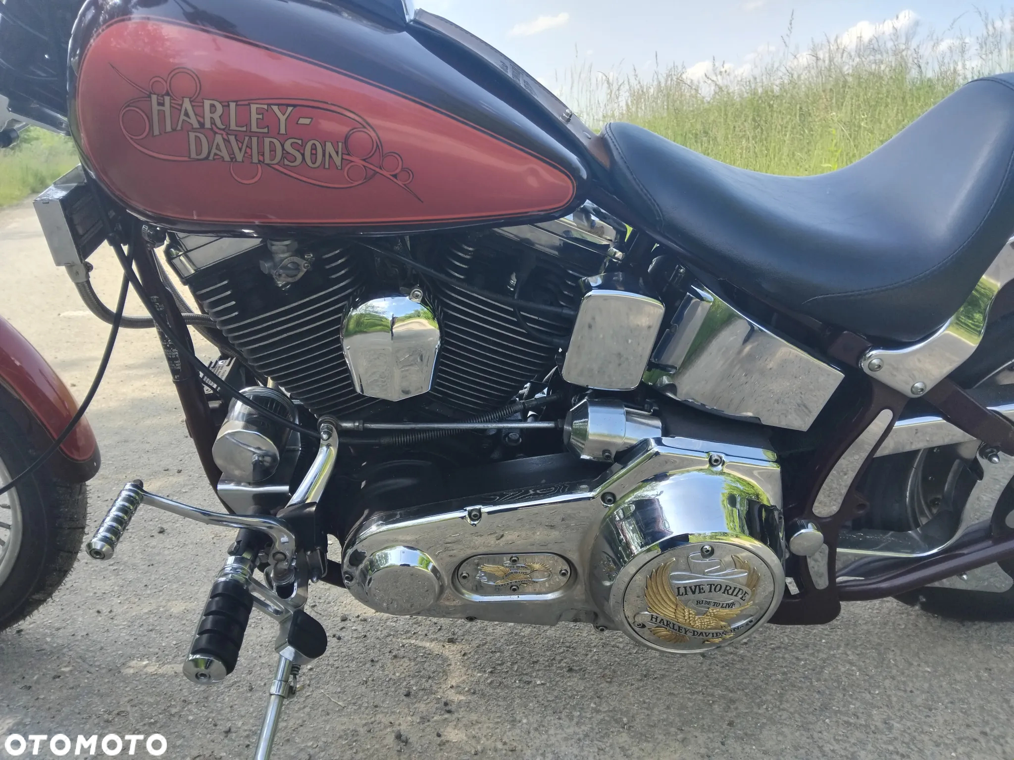 Harley-Davidson Softail - 9