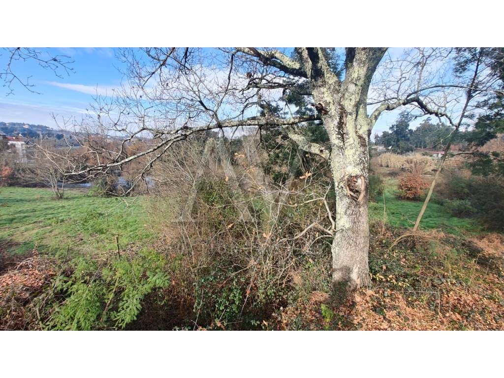 Terreno para construção - SANTA COMBA DÃO | LEILÃO ELETRÓNICO | FIM... - Grande imagem: 3/7