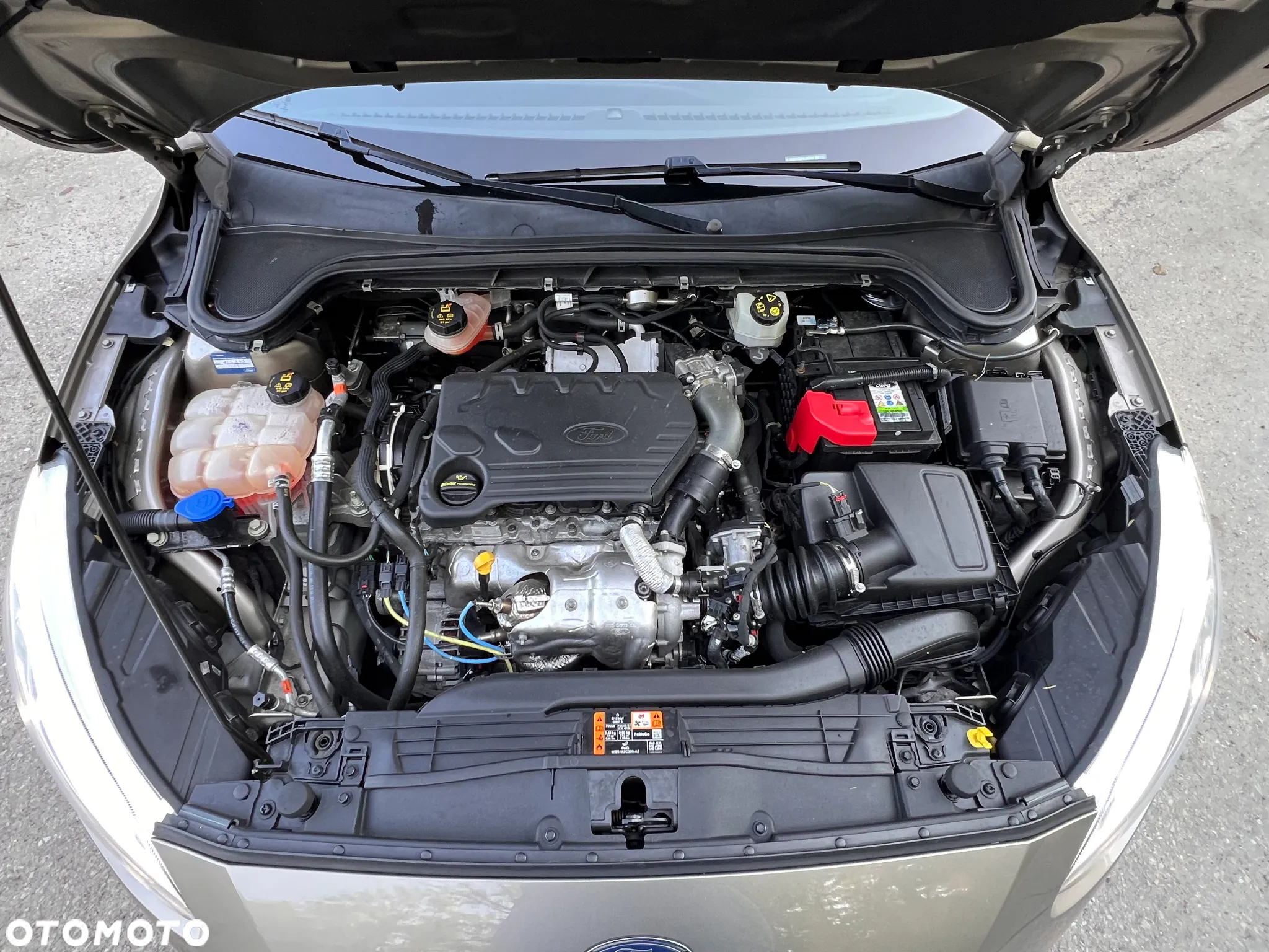 Ford Focus 1.5 EcoBlue Titanium - 39