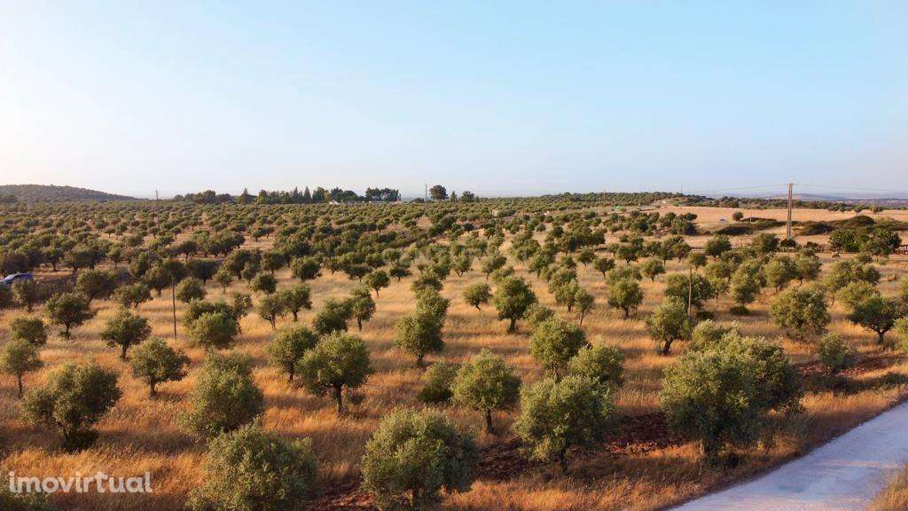 Terreno rústico com 135.500 m2  em solo urbano, urbanizável - em Estre - Grande imagem: 2/7