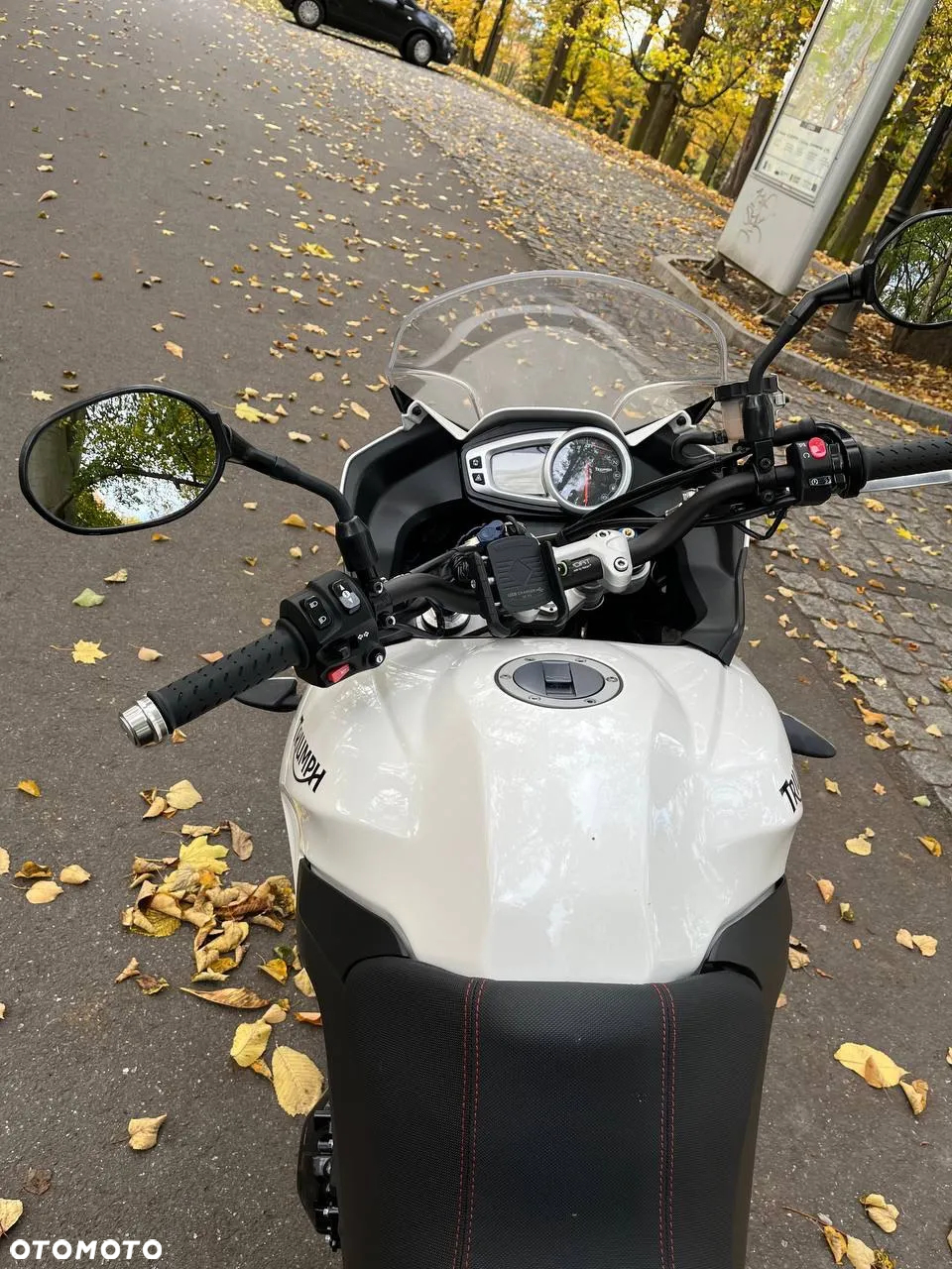 Triumph Tiger - 7