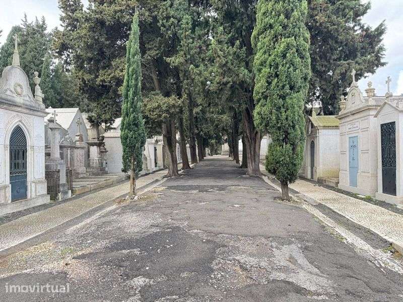 JAZIGO - Cemitério dos Prazeres - OPORTUNIDADE - Grande imagem: 4/8