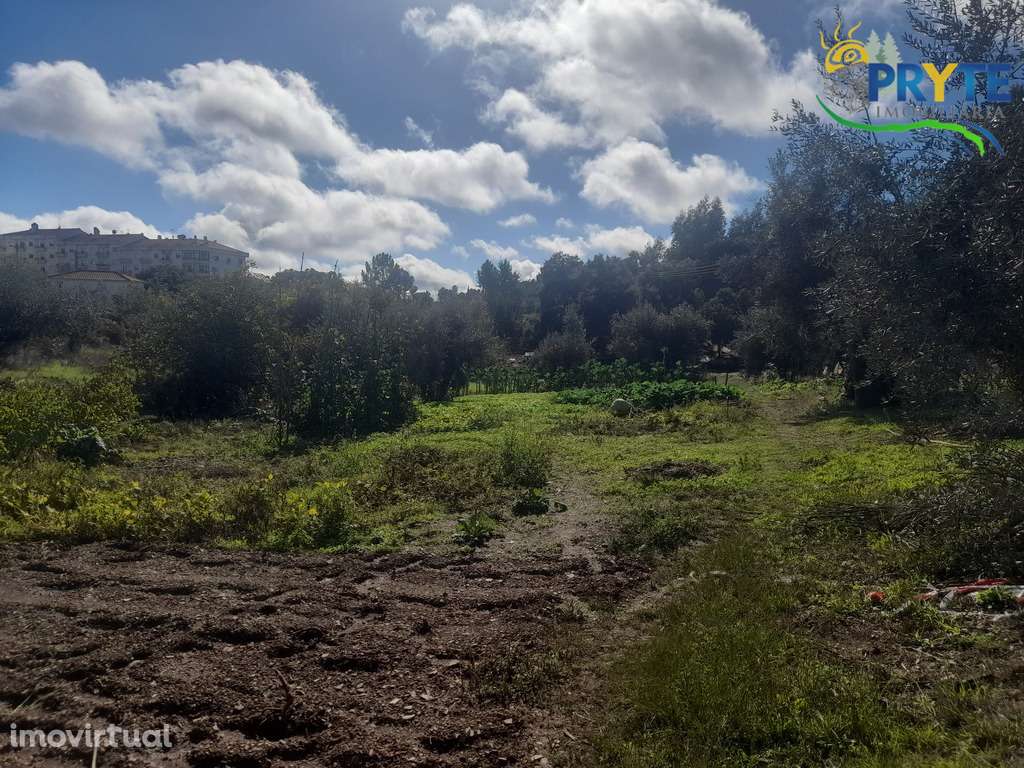 Terreno com 6000 metros quadrados em Linhares - Proença-a-Nova - Grande imagem: 3/12
