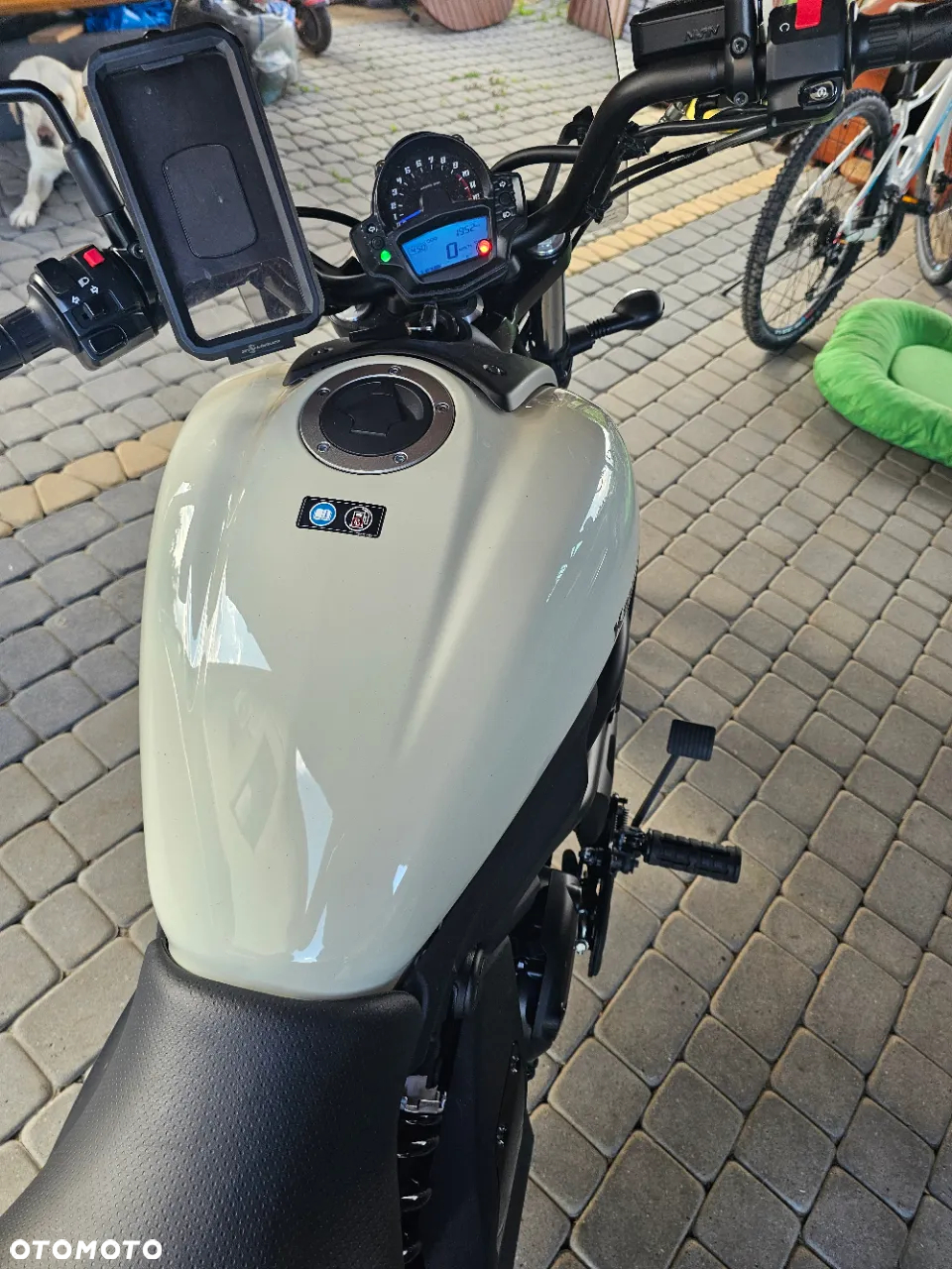 Kawasaki Vulcan - 11