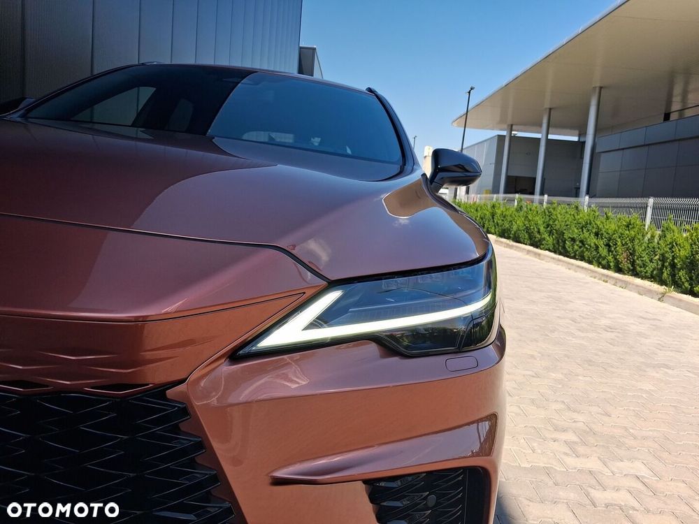 Lexus RX - 20