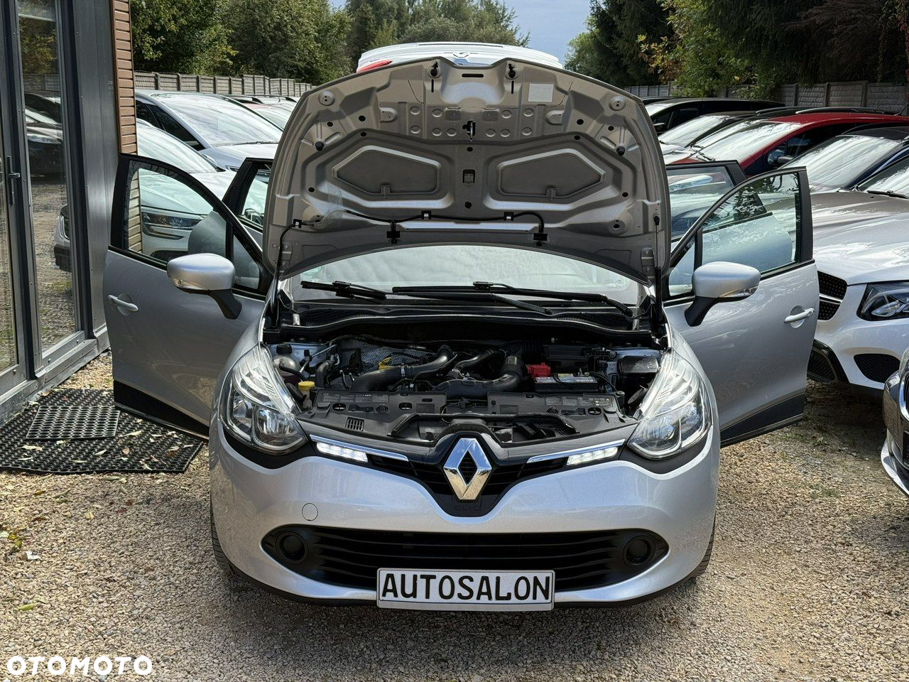Renault Clio - 28