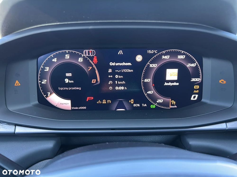 Cupra Terramar - 17
