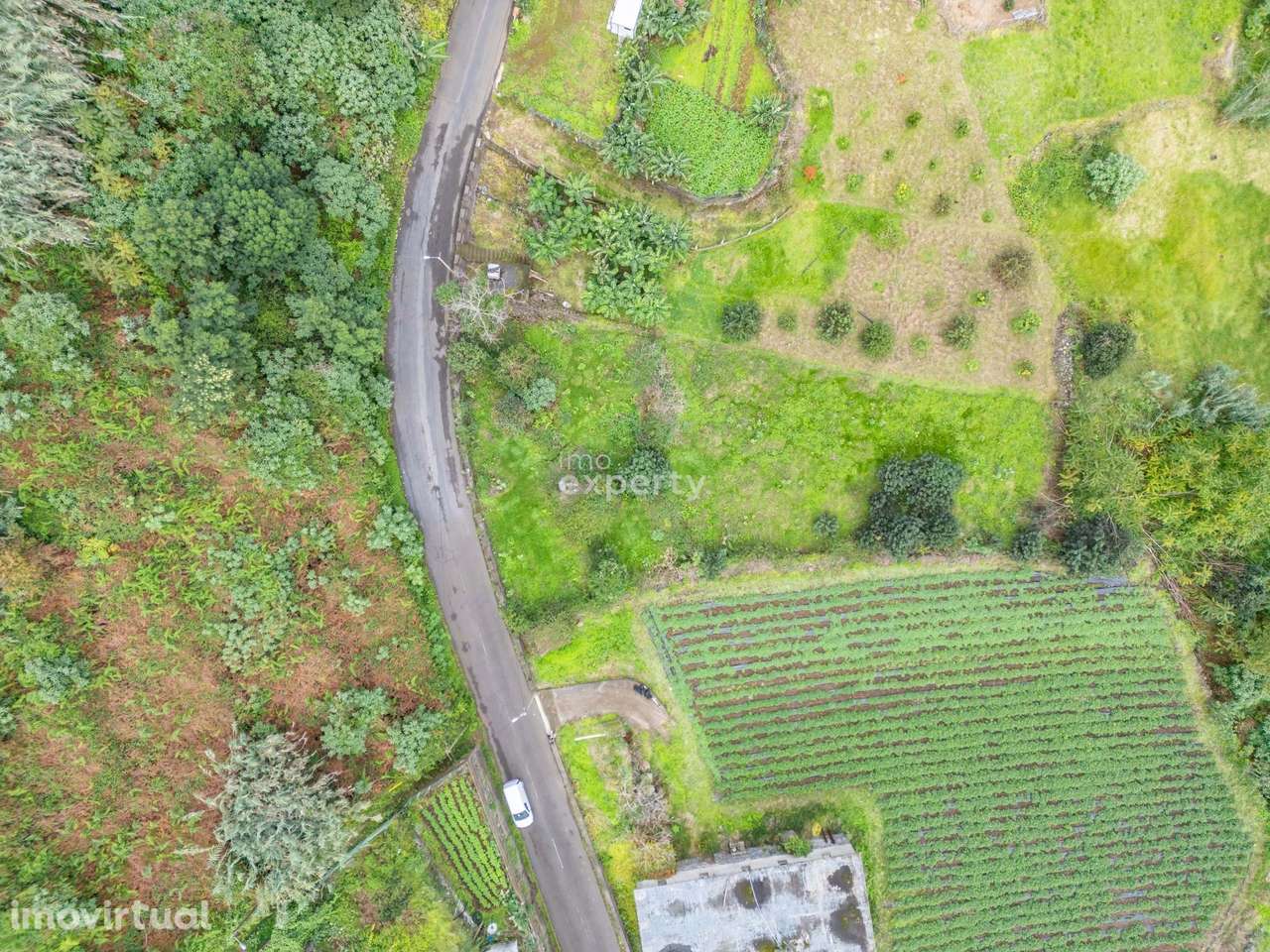Terreno Rústico em Santana, Madeira - Grande imagem: 3/26