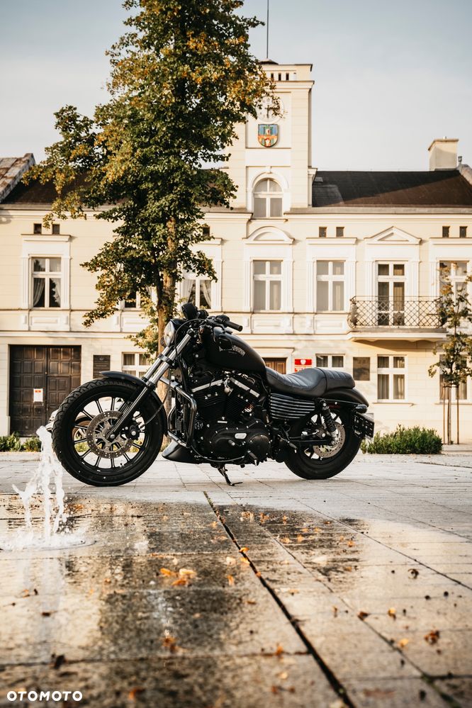 Harley-Davidson Sportster Iron 883 - 6