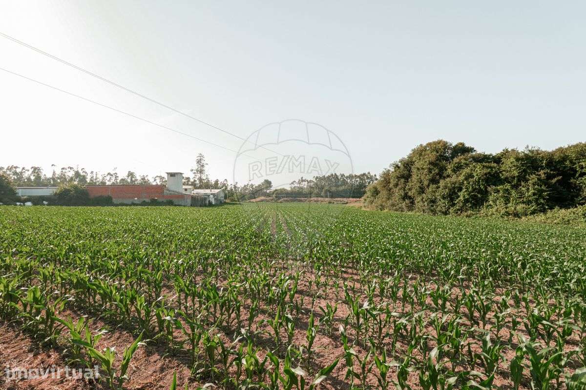 Terreno  para venda - Grande imagem: 5/6