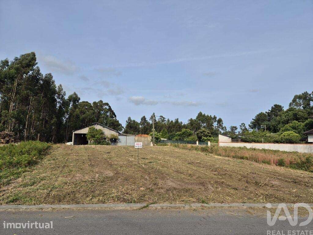 Terreno Agrícola em Ponte de Vagos e Santa Catarina - Grande imagem: 5/13