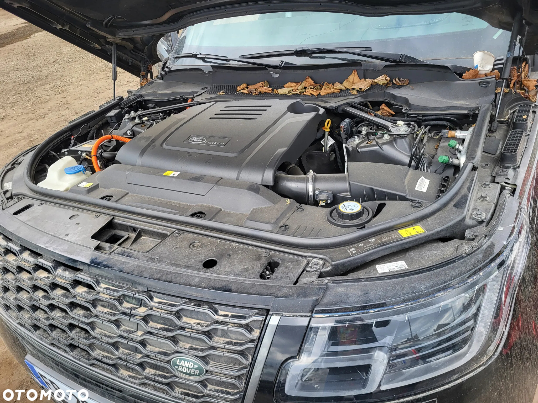 Land Rover Range Rover - 18