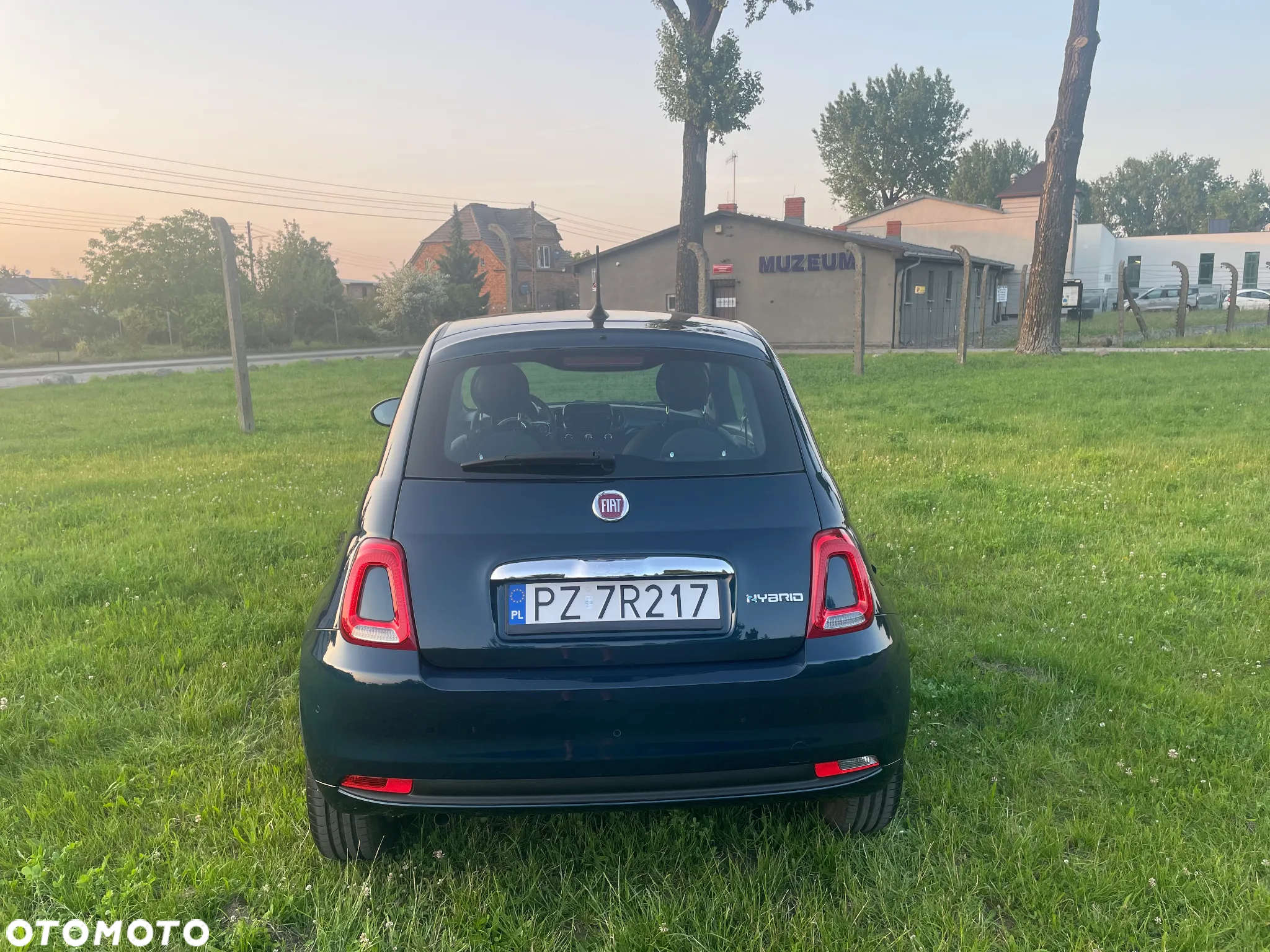 Fiat 500 1.0 Hybrid - 20