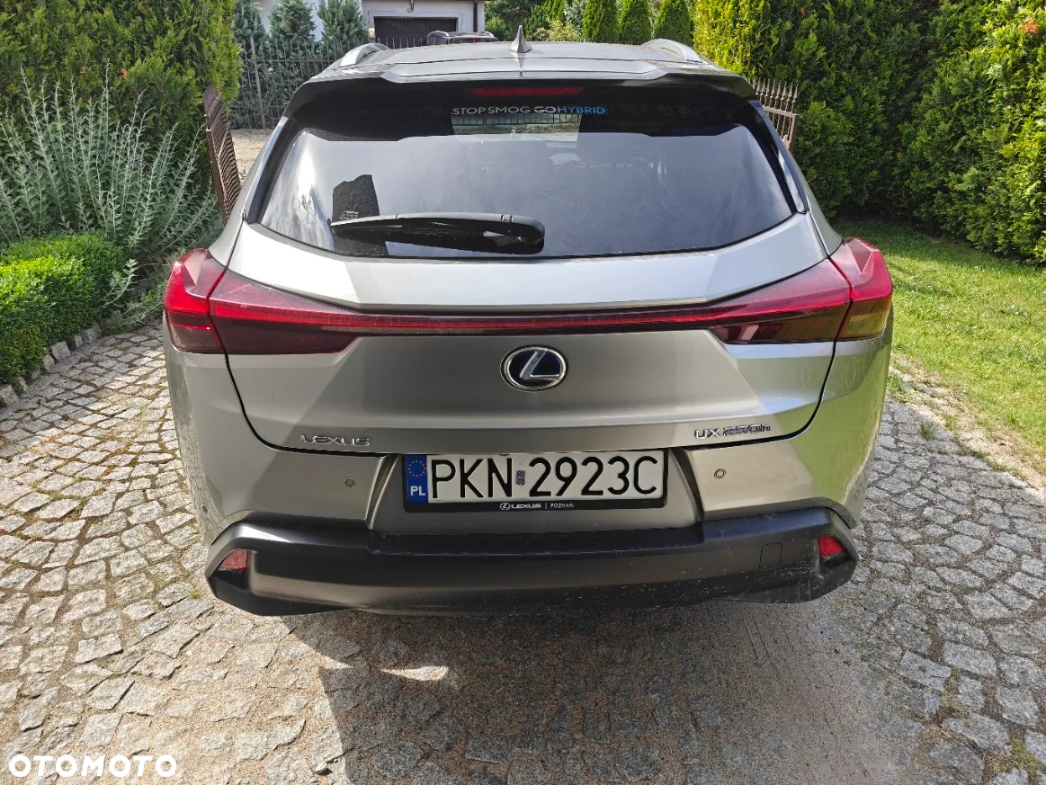 Lexus UX 250h Elegance 2WD - 8