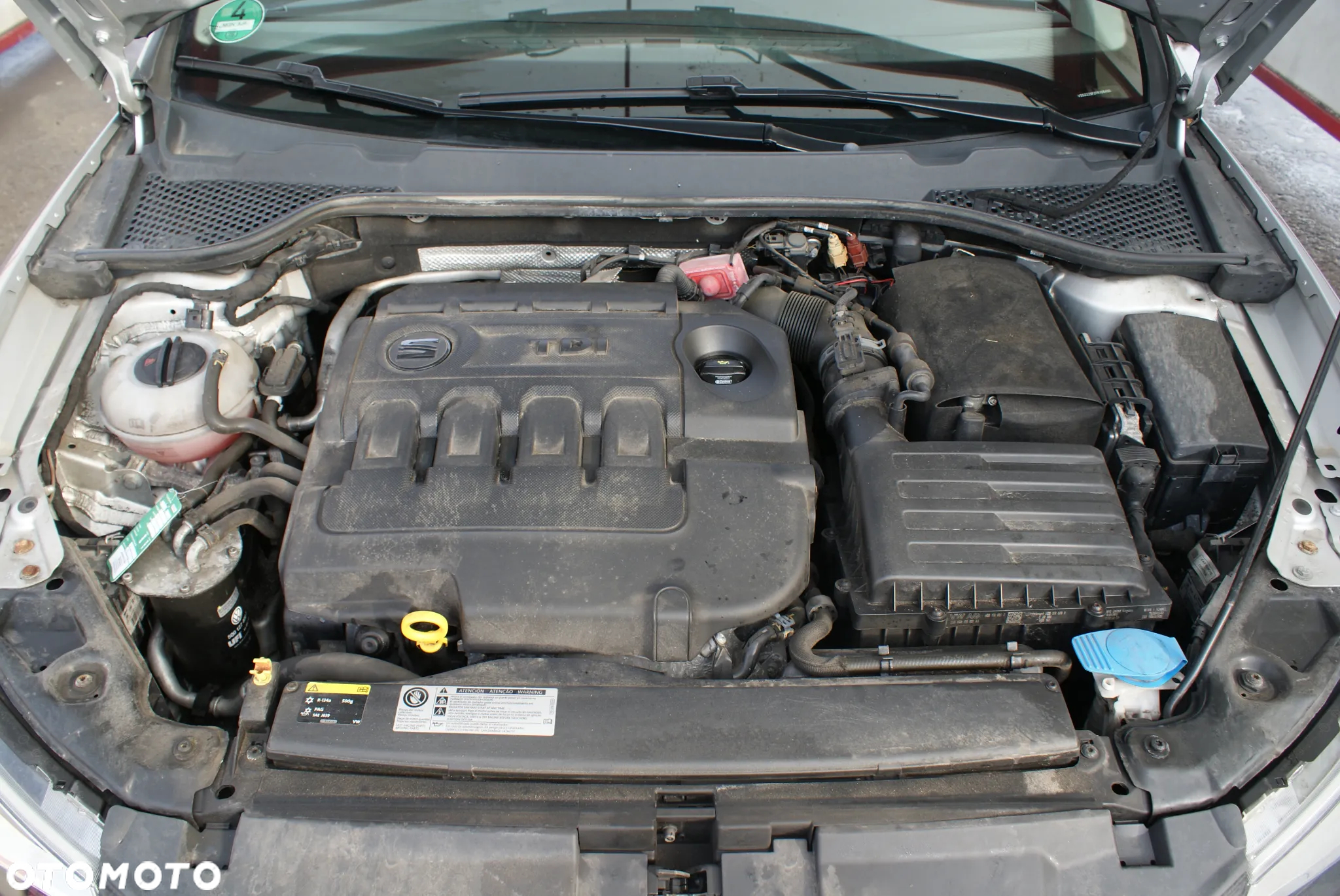 Seat Leon - 16