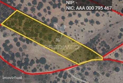 Terreno Rústico de 1,5 Hectares à Venda, Alandroal - Grande imagem: 3/3