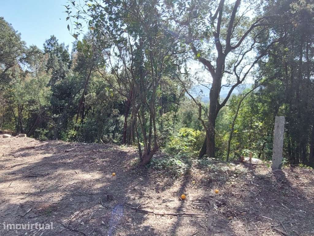Terreno c/ Ruína em Pedra - Vilela - Grande imagem: 2/10