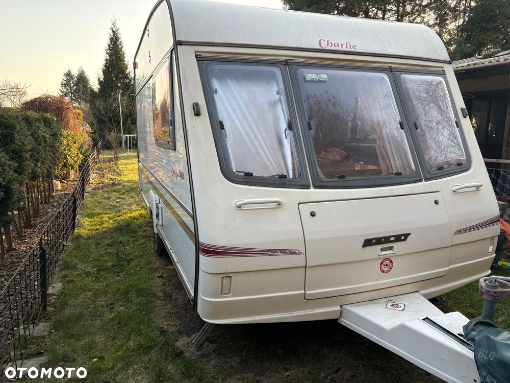 Bailey Pageant Majestic - 10