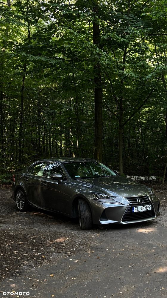 Lexus IS Executive Line - 5